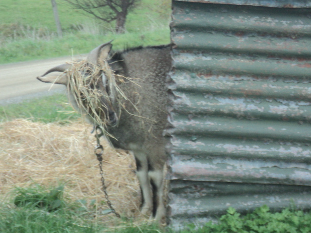Name:  880.jpg
Views: 286
Size:  165.0 KB