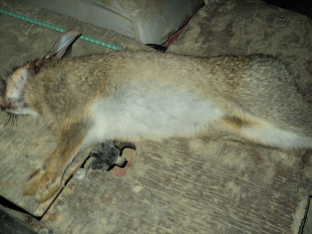 Name:  picture 1136.jpg
Views: 224
Size:  163.7 KB