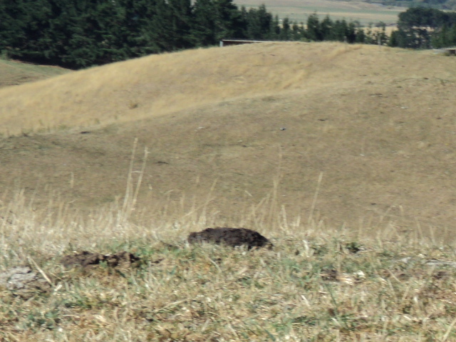 Name:  picture 1202.jpg
Views: 463
Size:  162.6 KB
