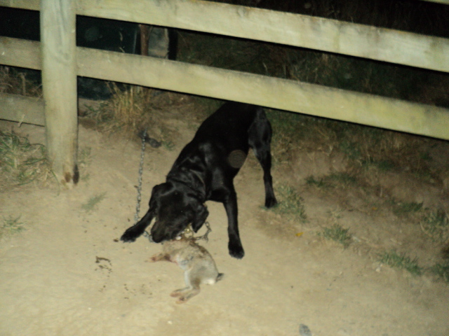 Name:  picture 1321.jpg
Views: 669
Size:  163.0 KB