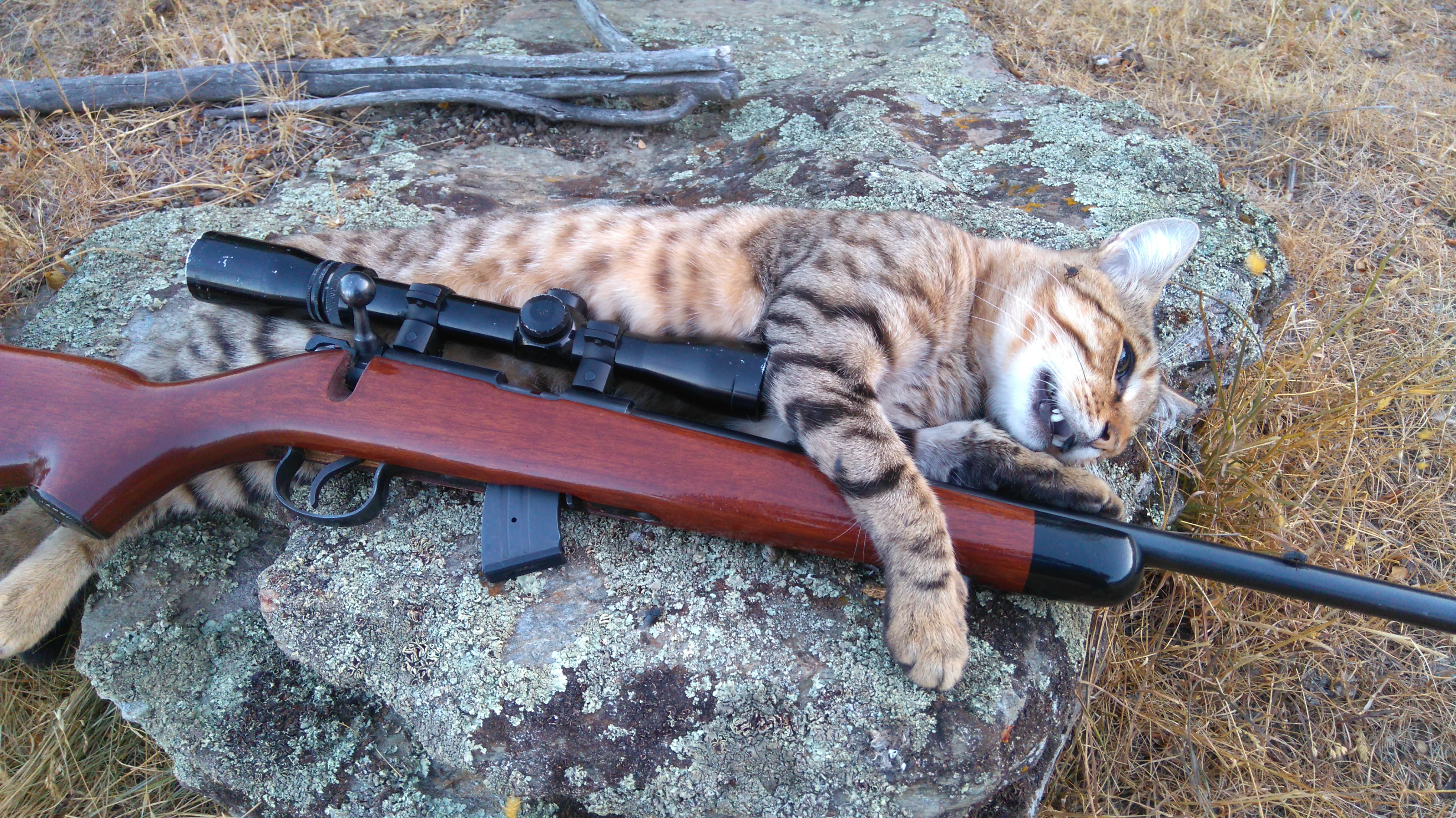 Name:  tom and Norinco.JPG
Views: 522
Size:  5.10 MB