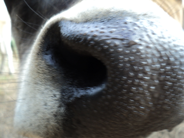 Name:  picture 1384.jpg
Views: 349
Size:  162.0 KB