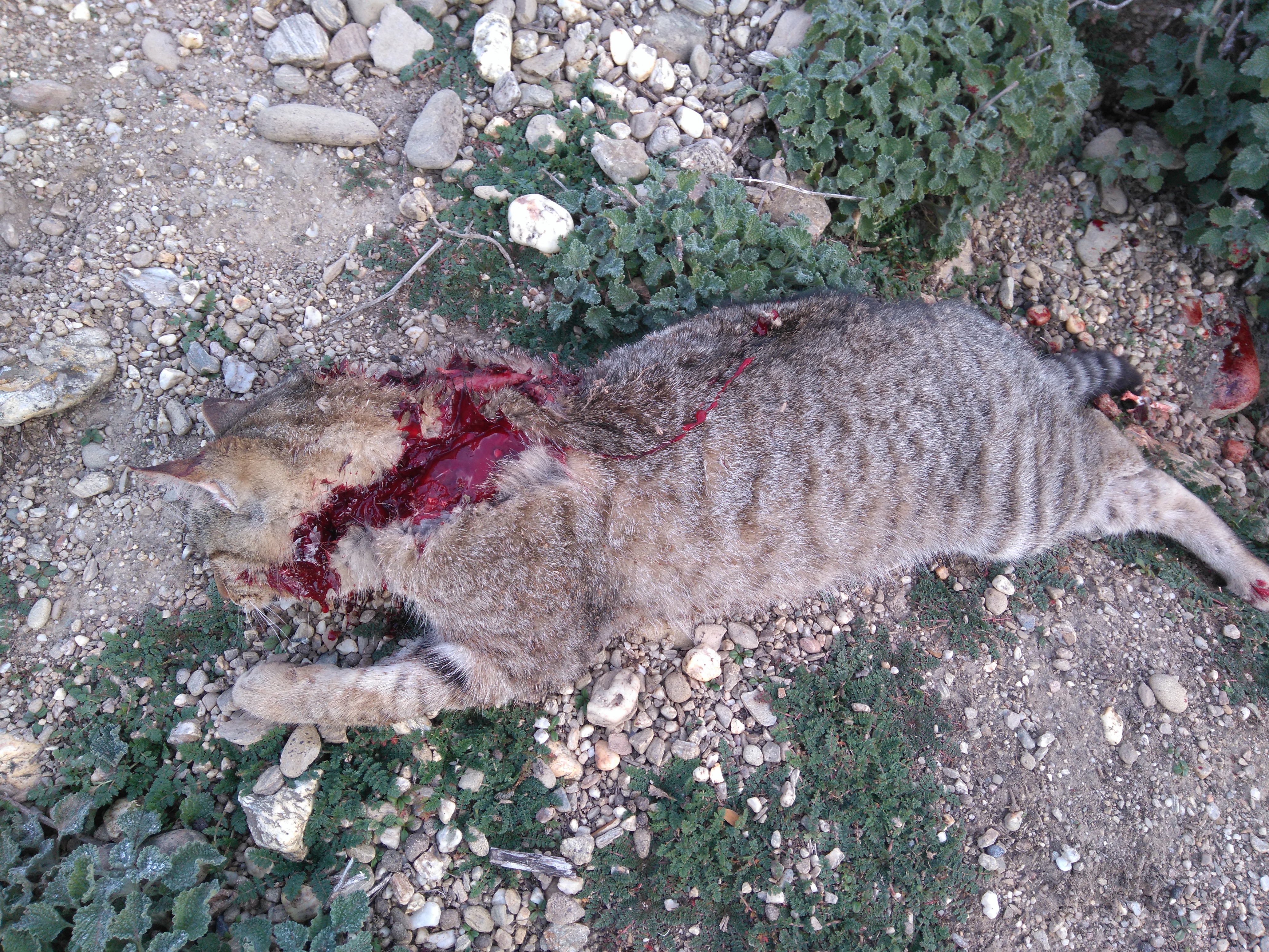 Name:  DSC_0012.JPG
Views: 510
Size:  7.87 MB