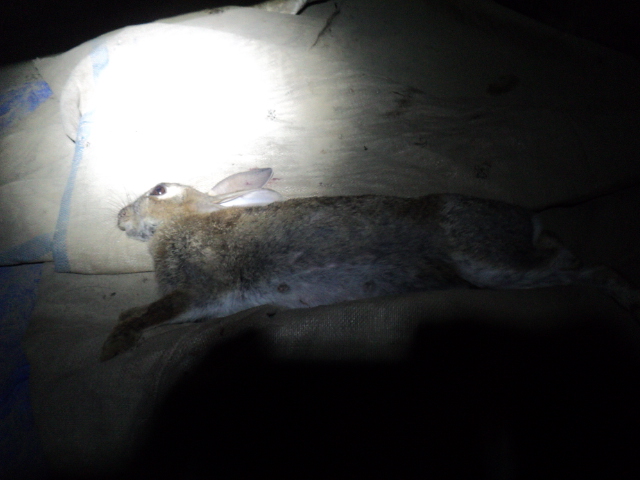 Name:  picture 01 620.jpg
Views: 464
Size:  164.0 KB