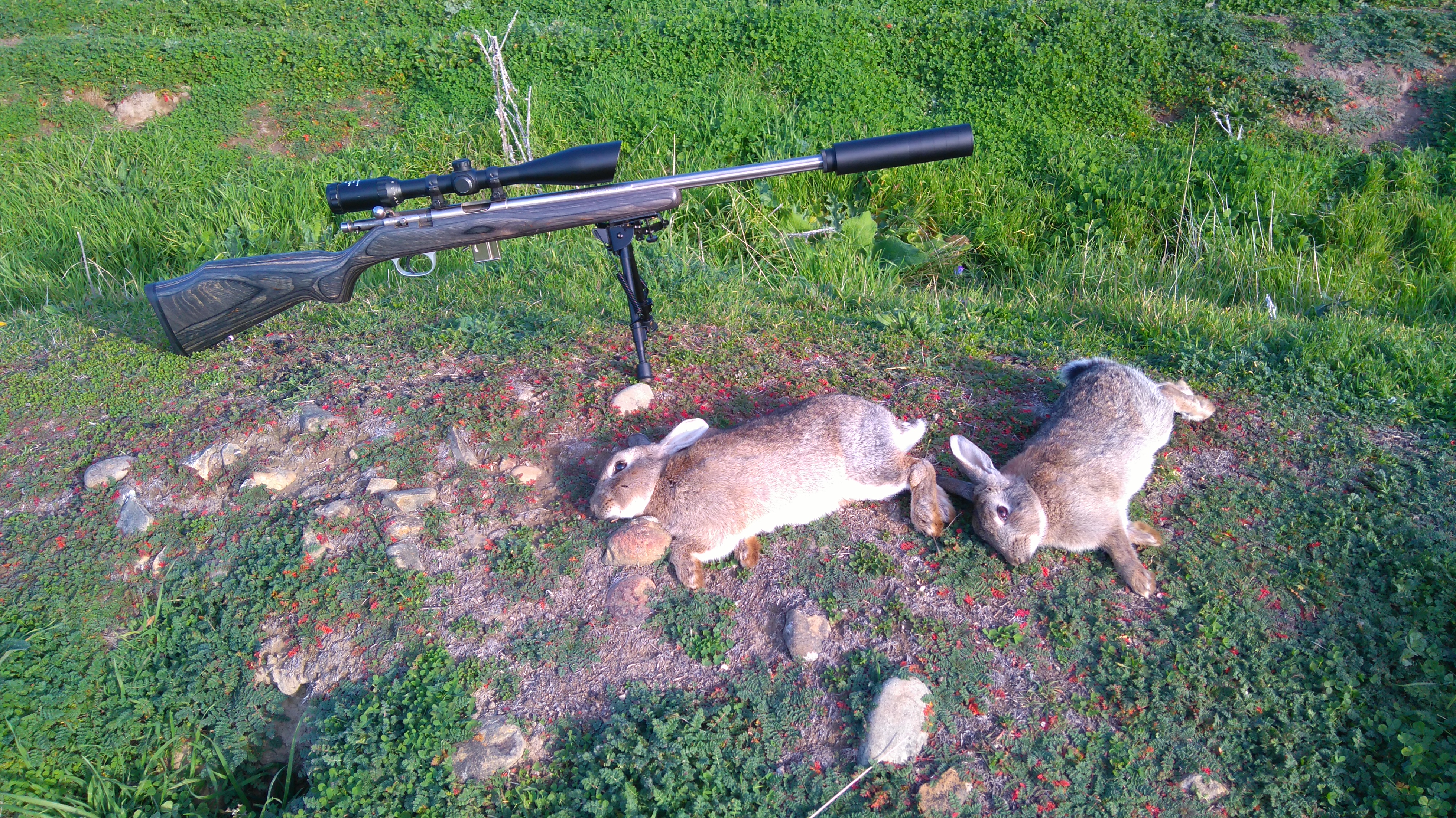 Name:  two bucks.JPG
Views: 420
Size:  6.05 MB