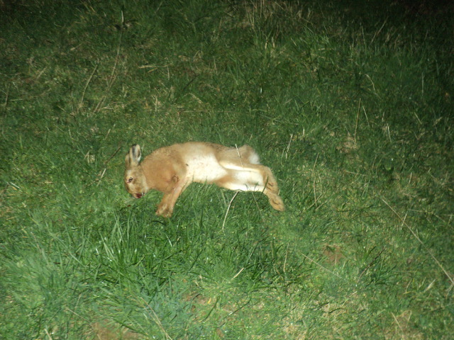 Name:  picture 01 819.jpg
Views: 512
Size:  163.6 KB
