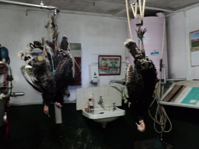 Name:  picture 1542.jpg
Views: 501
Size:  163.2 KB
