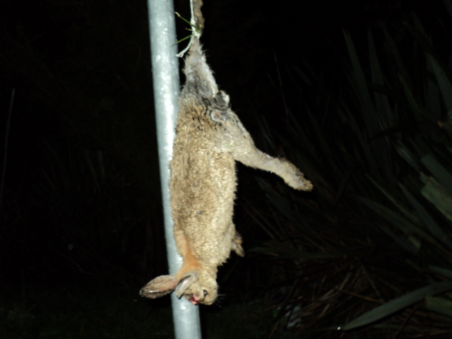 Name:  picture 1541.jpg
Views: 464
Size:  165.3 KB