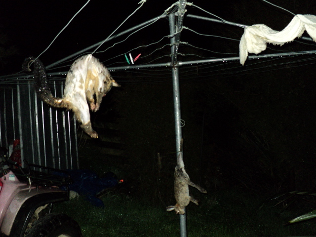 Name:  picture 1540.jpg
Views: 471
Size:  164.8 KB