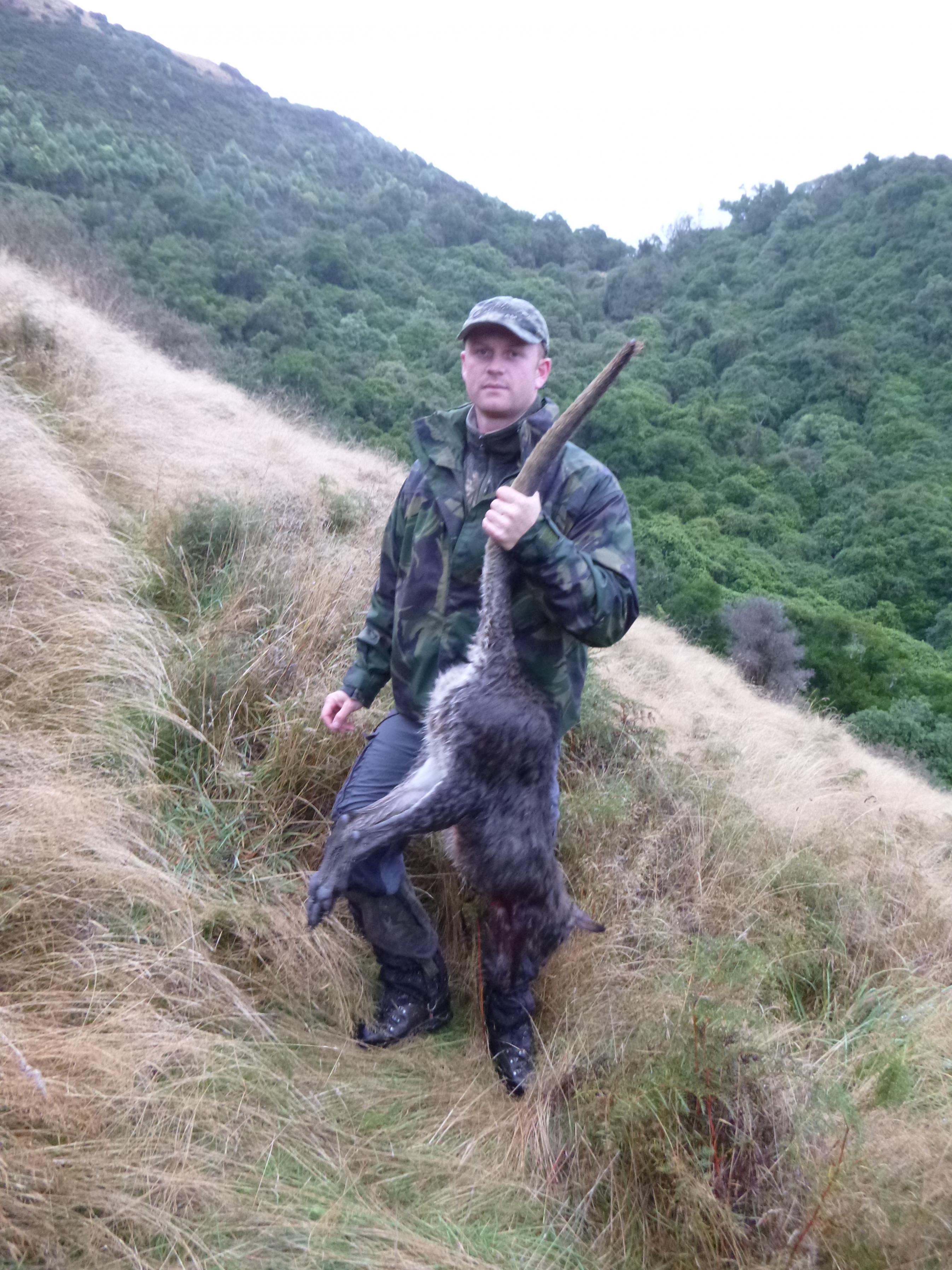 Name:  Wallaby.jpg
Views: 345
Size:  988.3 KB