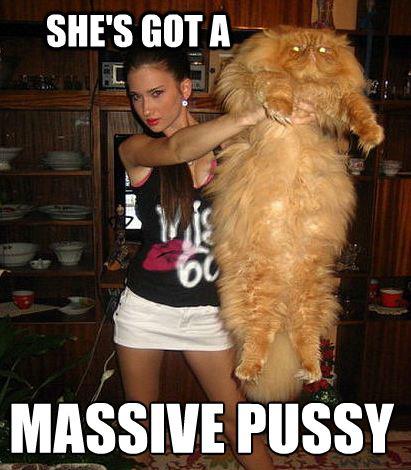 Name:  pussy.jpg
Views: 257
Size:  39.4 KB