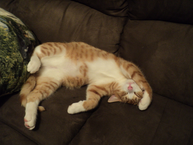Name:  picture 01 1326.jpg
Views: 295
Size:  160.9 KB