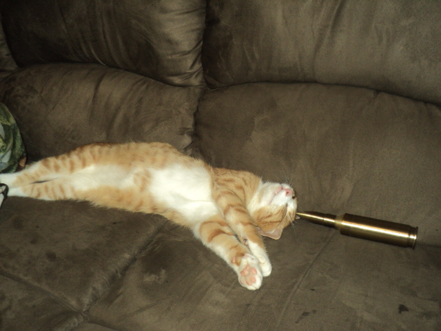 Name:  picture 01 1328.jpg
Views: 303
Size:  164.8 KB