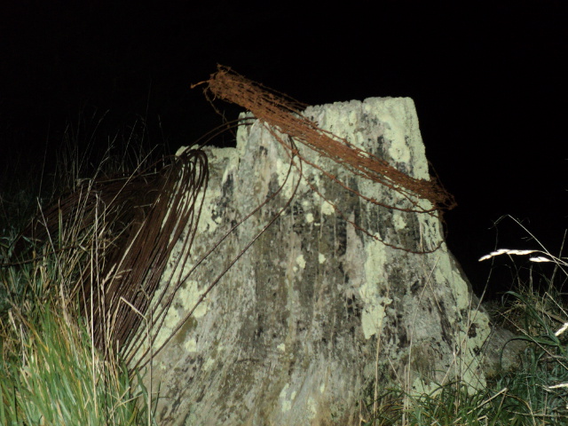 Name:  picture 01 1338.jpg
Views: 431
Size:  165.1 KB