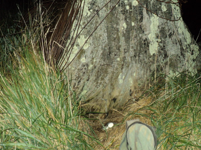 Name:  picture 01 1339.jpg
Views: 444
Size:  164.8 KB