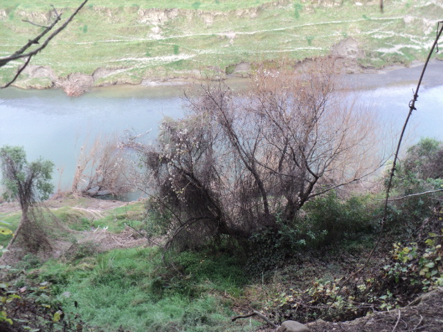 Name:  picture 01 1343.jpg
Views: 246
Size:  164.3 KB