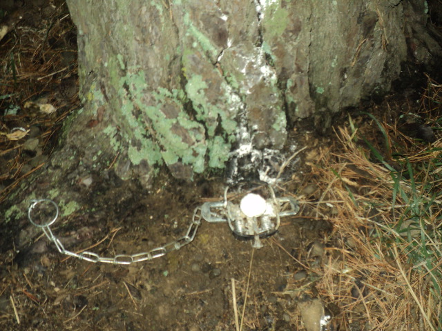 Name:  picture 01 1401.jpg
Views: 490
Size:  162.8 KB