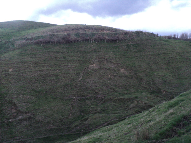 Name:  picture 01 1433.jpg
Views: 334
Size:  164.6 KB
