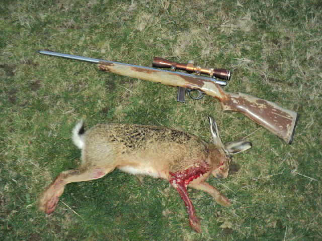 Name:  picture 01 1432.jpg
Views: 364
Size:  165.2 KB