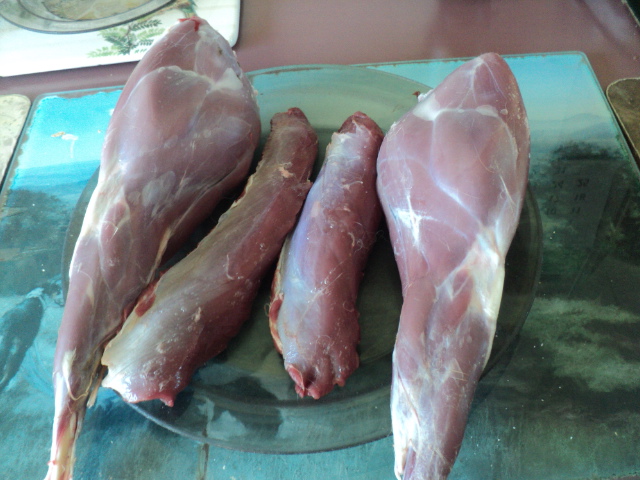 Name:  picture 01 1446.jpg
Views: 251
Size:  164.6 KB