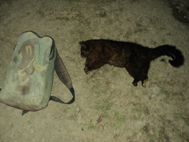 Name:  picture 01 1470.jpg
Views: 230
Size:  164.9 KB
