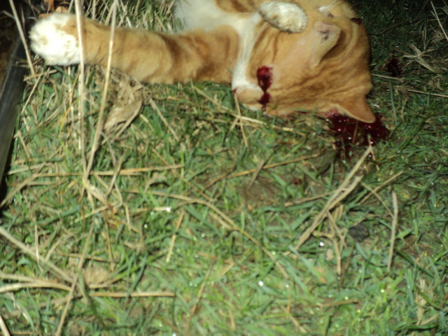 Name:  picture 01 1477.jpg
Views: 219
Size:  164.1 KB