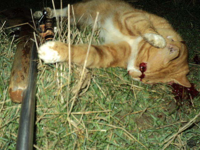 Name:  picture 01 1478.jpg
Views: 194
Size:  162.6 KB