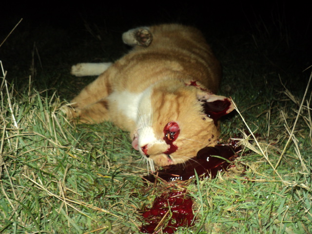 Name:  picture 01 1479.jpg
Views: 196
Size:  165.0 KB