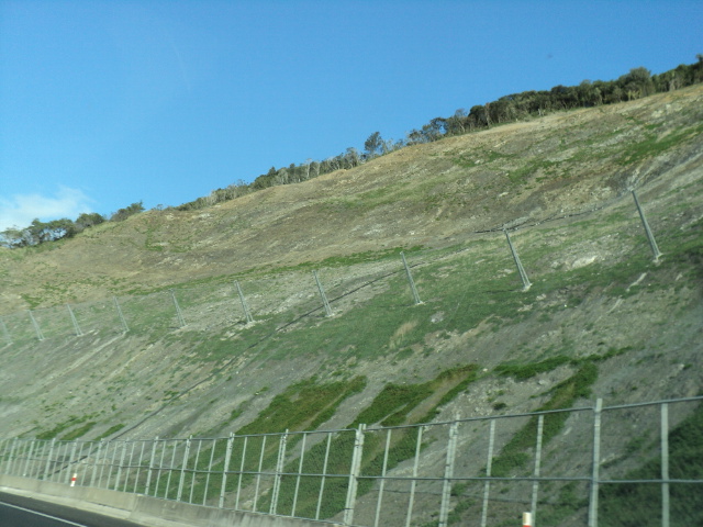 Name:  picture 1575.jpg
Views: 244
Size:  163.1 KB