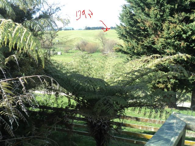 Name:  picture 01 1488.jpg
Views: 269
Size:  101.0 KB