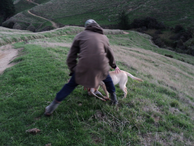 Name:  picture 1588.jpg
Views: 240
Size:  164.2 KB