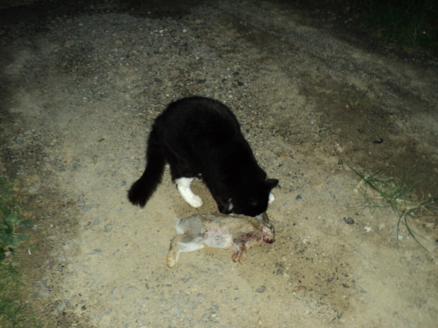 Name:  picture 1593.jpg
Views: 212
Size:  164.6 KB