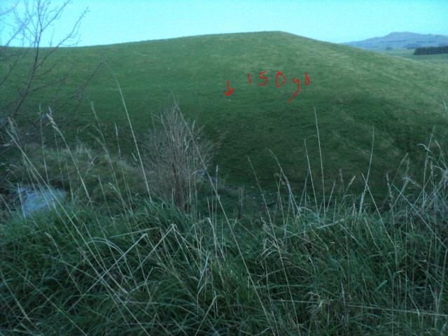 Name:  picture 01 1555.jpg
Views: 245
Size:  71.9 KB
