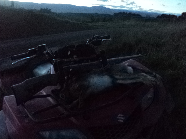 Name:  picture 01 1557.jpg
Views: 256
Size:  164.3 KB
