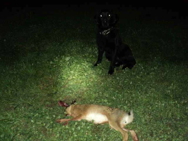 Name:  picture 01 1576.jpg
Views: 381
Size:  161.7 KB
