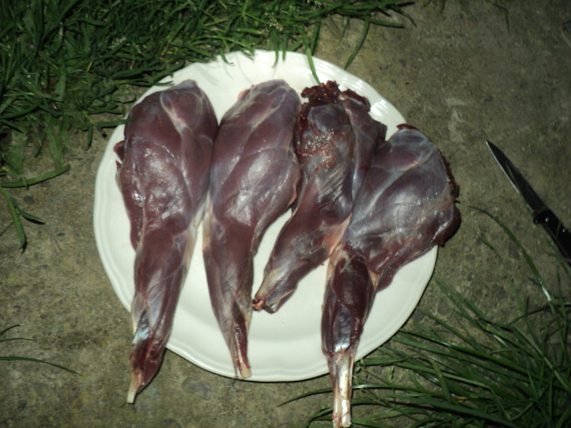 Name:  picture 01 1578.jpg
Views: 383
Size:  163.2 KB