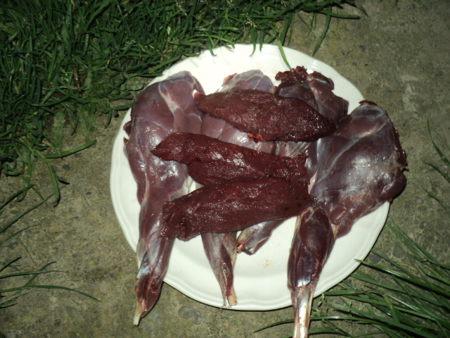 Name:  picture 01 1579.jpg
Views: 380
Size:  163.7 KB