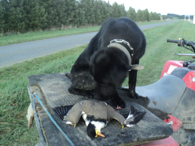 Name:  picture 01 1597.jpg
Views: 317
Size:  162.6 KB