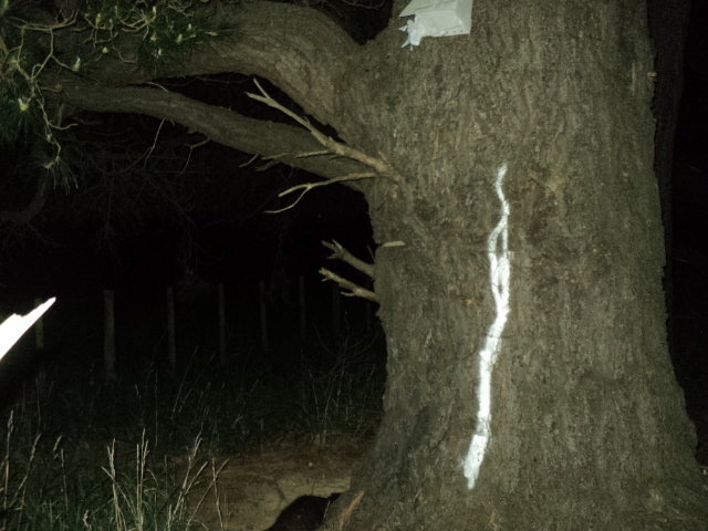 Name:  picture 01 1642.jpg
Views: 405
Size:  163.8 KB