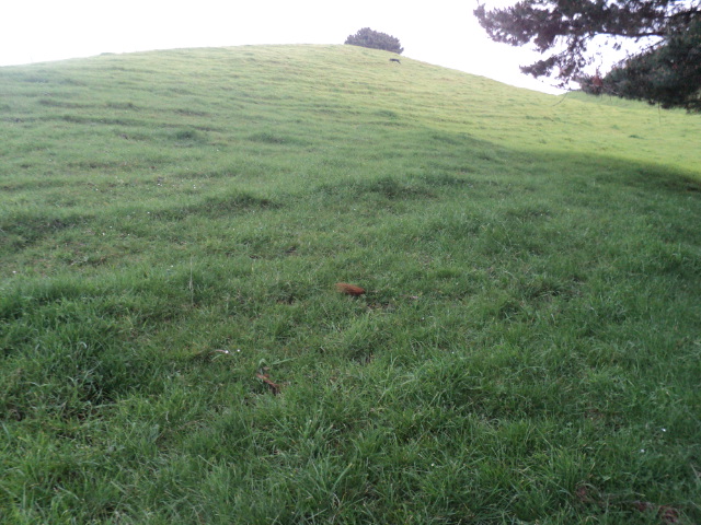 Name:  picture 01 1649.jpg
Views: 260
Size:  164.8 KB