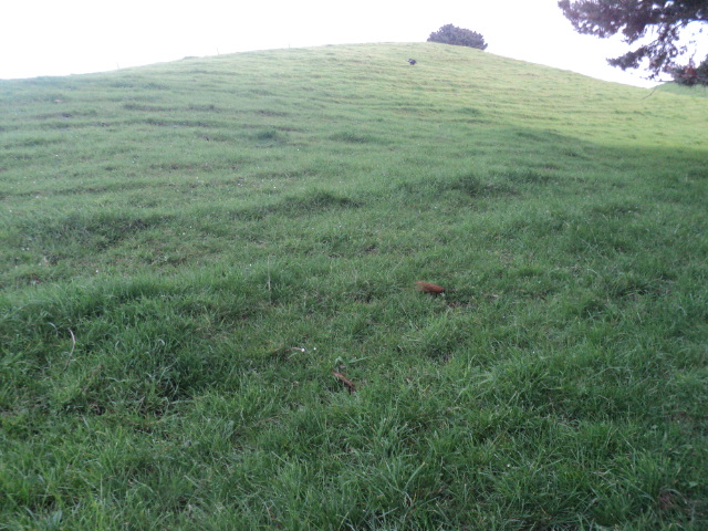 Name:  picture 01 1650.jpg
Views: 258
Size:  164.8 KB