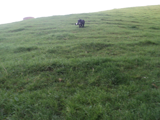 Name:  picture 01 1651.jpg
Views: 259
Size:  162.8 KB