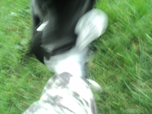 Name:  picture 01 1652.jpg
Views: 236
Size:  163.6 KB