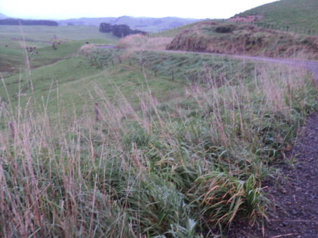 Name:  picture 01 1689.jpg
Views: 569
Size:  162.8 KB