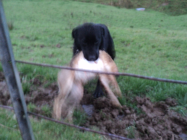 Name:  picture 01 1694.jpg
Views: 570
Size:  164.9 KB