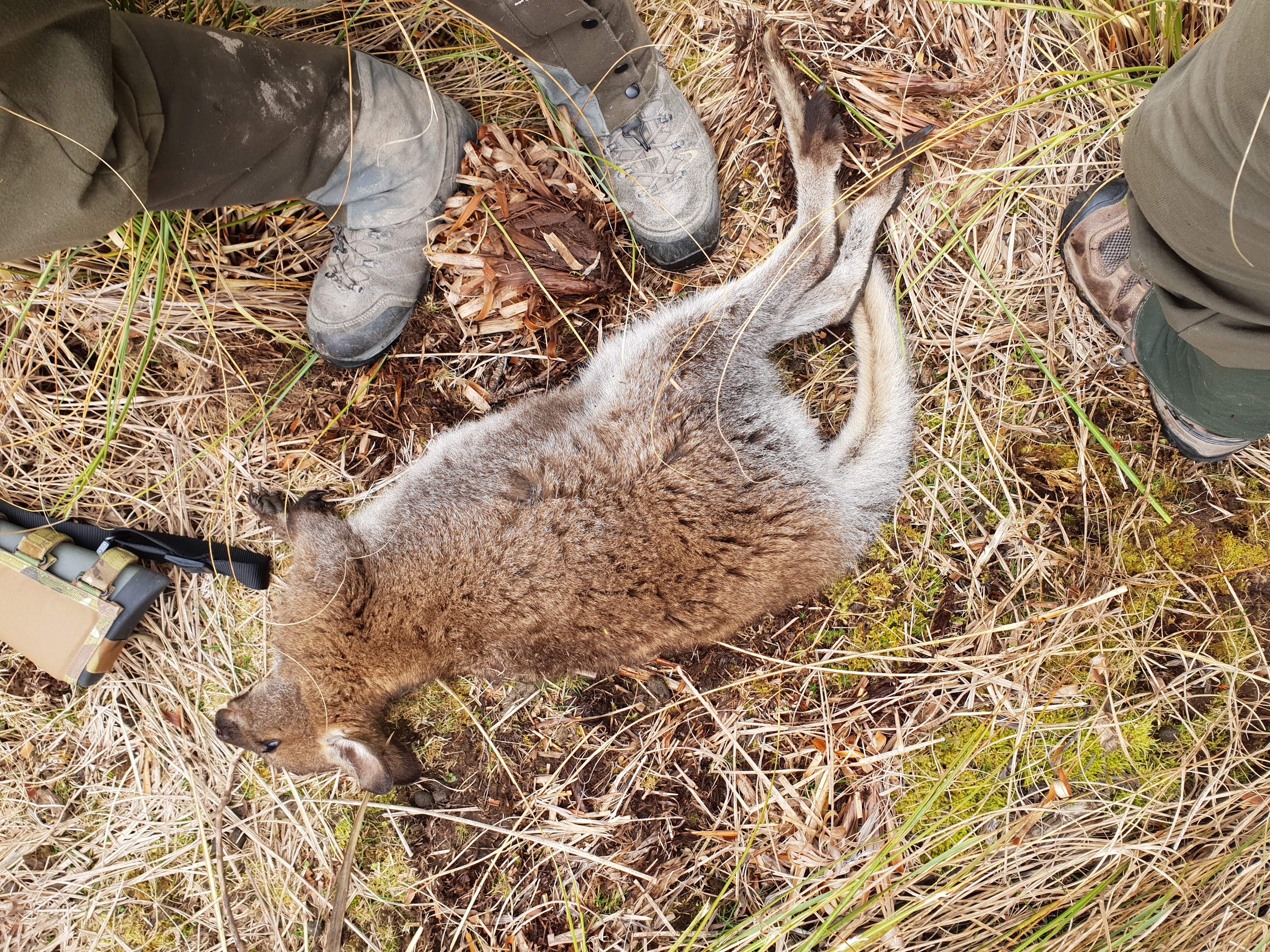 Name:  20180908_142810[1].jpg
Views: 720
Size:  7.16 MB