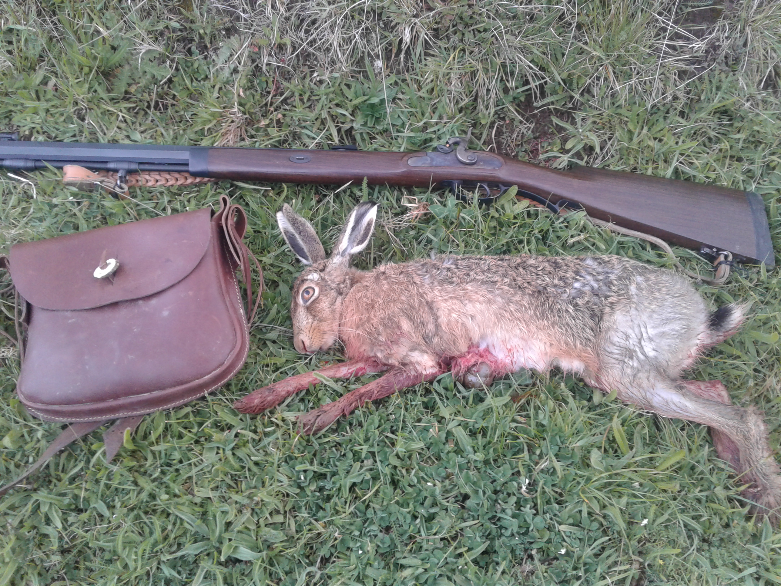 Name:  hare 50 cal.jpg
Views: 1127
Size:  2.74 MB