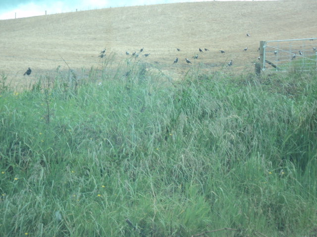 Name:  picture 01 2109.jpg
Views: 326
Size:  163.7 KB