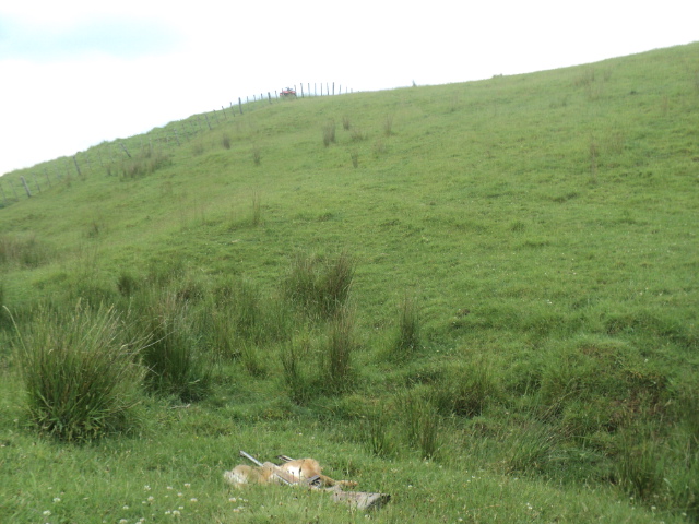 Name:  picture 01 2208.jpg
Views: 214
Size:  162.7 KB
