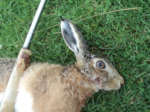 Name:  picture 01 2209.jpg
Views: 227
Size:  164.8 KB